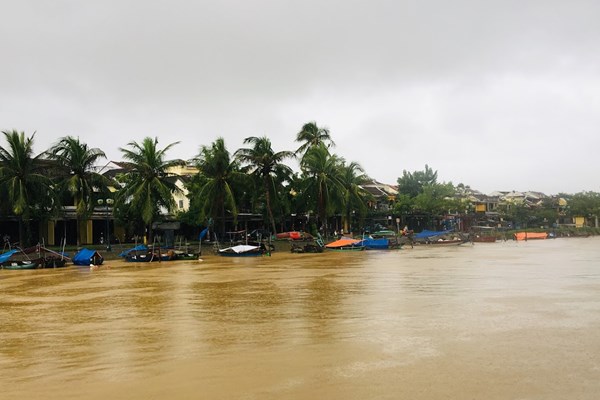 Quảng Ngãi, Quảng Nam mưa lớn, nhiều vùng ngập cục bộ - Anh 5