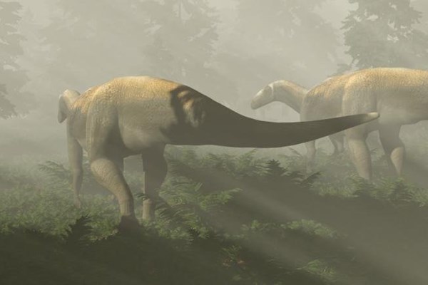 Hóa thạch khủng long được tìm thấy 50 năm trước không phải của loài ăn thịt như nhận định trước đây - Anh 1