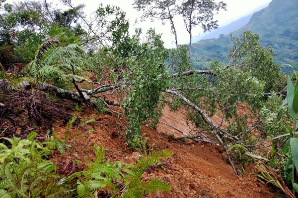 Nam Trà My (Quảng Nam): Sạt lở hư hại nhà dân, sơ tán khẩn cấp hơn 150 hộ - Anh 1