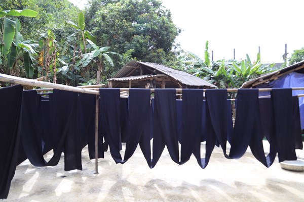 Giữ gìn nghề trồng chàm nhuộm vải của người Xuồng ở Thăm Noong - Anh 2