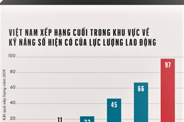 Chuyển đổi số tại Việt Nam: Không kỹ năng, không thành công - Anh 2