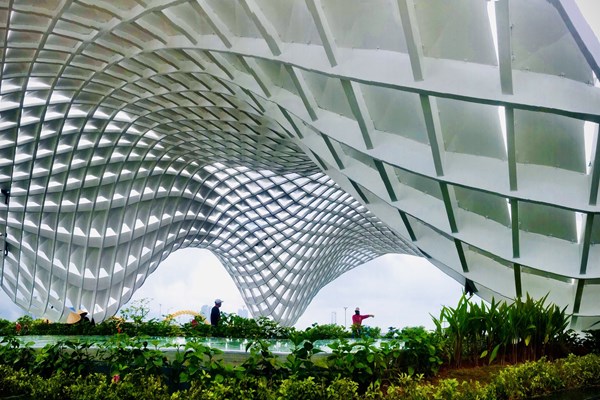 Đà Nẵng:  Khánh thành công trình Vườn tượng APEC mở rộng - Anh 1