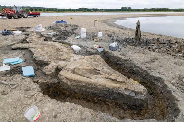 Anh: Phát hiện hóa thạch “ngư long” 180 triệu năm - Anh 1