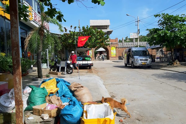 Bình Định: Môi trường bị ảnh hưởng do không thống nhất giá thu gom rác thải - Anh 1