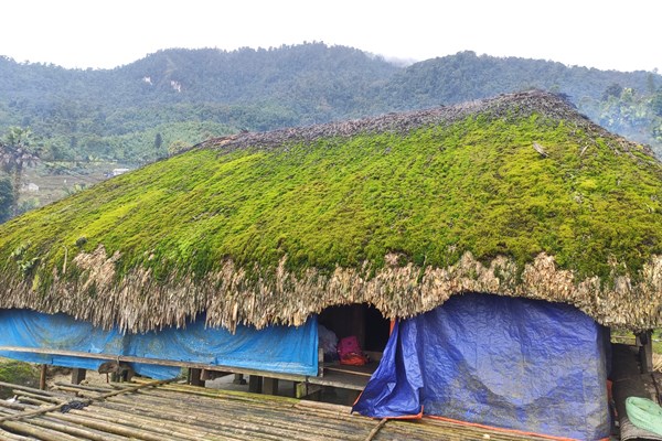 Mái nhà rêu xanh đẹp như tranh ở Hà Giang - Anh 7