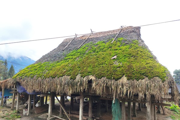 Mái nhà rêu xanh đẹp như tranh ở Hà Giang - Anh 6