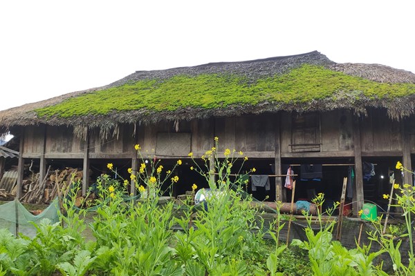 Mái nhà rêu xanh đẹp như tranh ở Hà Giang - Anh 4
