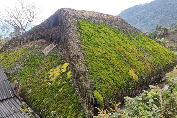 Mái nhà rêu xanh đẹp như tranh ở Hà Giang - Anh 5