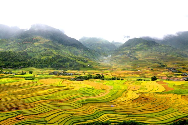 Xây dựng thương hiệu di sản văn hóa trong phát triển du lịch - Anh 1