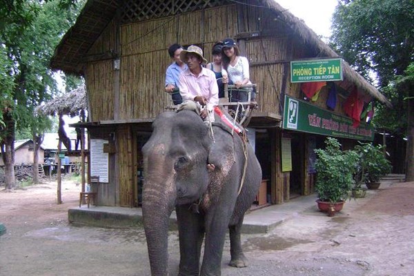 Đắk Lắk hướng đến “Du lịch thân thiện với voi” - Anh 1