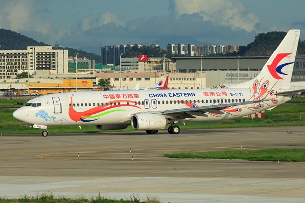 Trung Quốc: Máy bay chở 133 người găp nạn - Anh 1