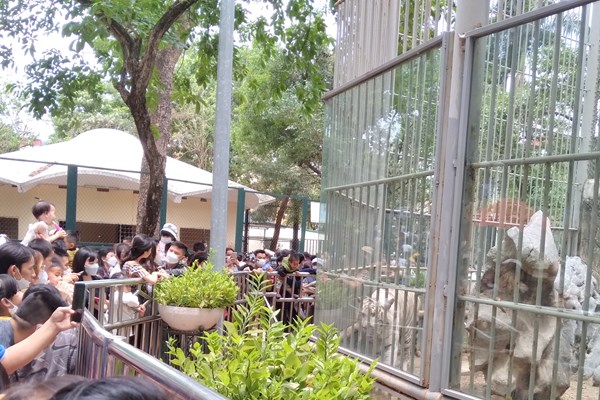 Hà Nội: Công viên Thủ Lệ đông nghẹt người dịp nghỉ lễ 30.4 – 1.5 - Anh 2