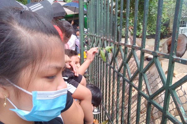Hà Nội: Công viên Thủ Lệ đông nghẹt người dịp nghỉ lễ 30.4 – 1.5 - Anh 3
