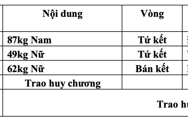 Lịch thi đấu SEA Games 31 ngày 19.5 của Đoàn thể thao Việt Nam - Anh 11