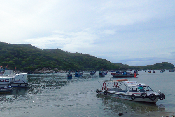 Ninh Thuận:  Chấn chỉnh hoạt động du lịch không đúng quy định trên vịnh Vĩnh Hy, Bãi Kinh - Anh 1