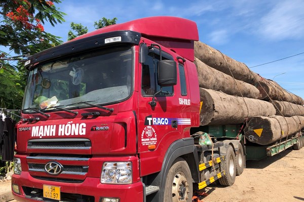 Tạm giữ xe đầu kéo chở hàng chục khối gỗ lim qua địa phận Quảng Ngãi - Anh 2