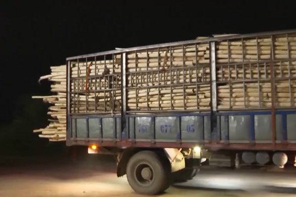 Quảng Ngãi: Xe quá tải chở gỗ keo “nhộn nhịp” trong đêm - Anh 2