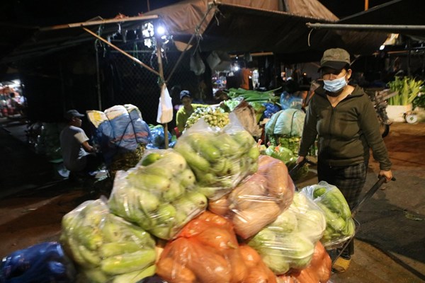 Cửu vạn trong đêm ở chợ đầu mối lớn nhất xứ Quảng - Anh 2