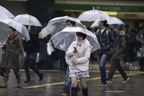 Nét văn hóa độc đáo ở Nhật Bản: Những chiếc ô trong suốt - Anh 1