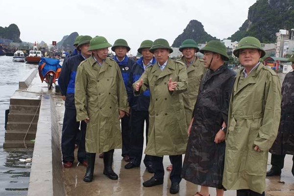 Quảng Ninh: Đưa khách du lịch tại Cô Tô về đất liền tránh bão an toàn - Anh 2
