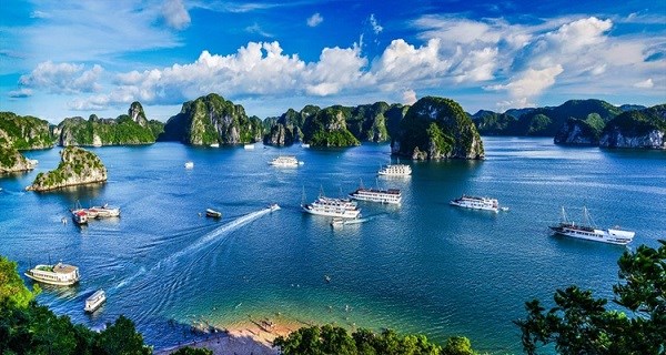 Quảng Ninh ngừng cấp phép tàu du lịch biển để phòng tránh bão số 3 - Anh 1