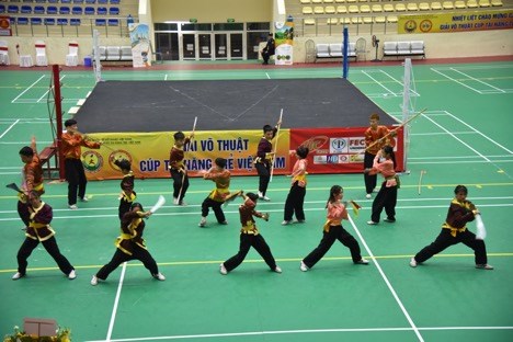 Khai mạc Giải Võ thuật Cup Tài năng trẻ Việt Nam lần 3 - Anh 6