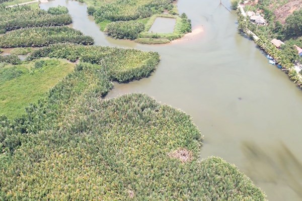 Rừng dừa nước Cà Ninh - điểm du lịch sinh thái hấp dẫn dịp lễ 2.9 - Anh 1