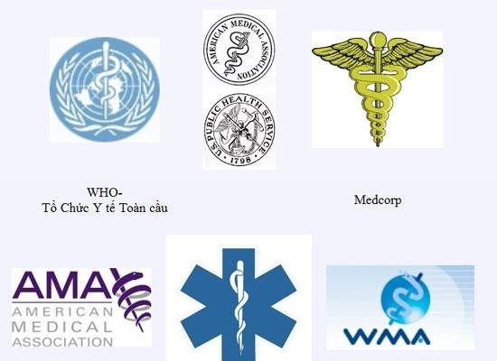 Logo Bộ Y tế bị làm sai lệch: “Không thể là sơ suất hay lỗi kỹ thuật thuần tuý” - Anh 2