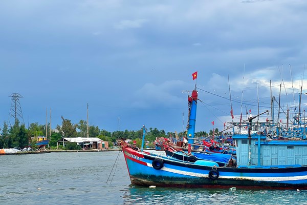 Quảng Ngãi: Hàng trăm tàu cá hối hả quay đầu vào bờ để bán cá chạy bão - Anh 5