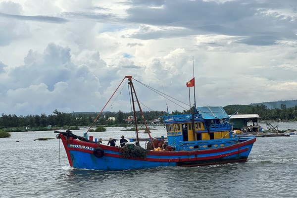 Quảng Ngãi: Hàng trăm tàu cá hối hả quay đầu vào bờ để bán cá chạy bão - Anh 1