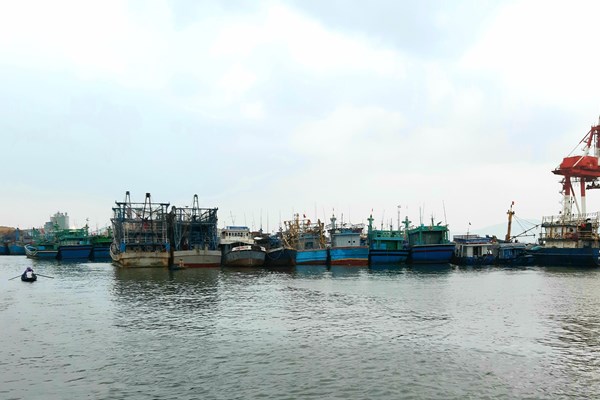 Bình Định dời hơn 1.200 tàu cá tại biển Quy Nhơn để phát triển du lịch - Anh 1