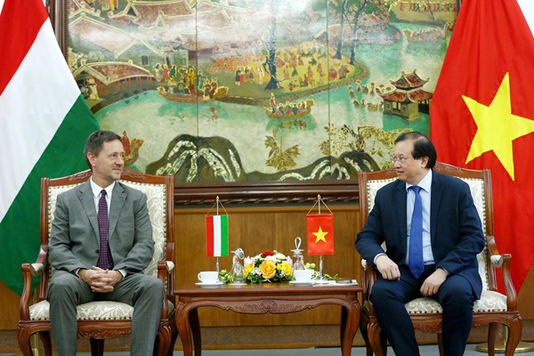Tăng cường hợp tác về VHTTDL giữa Việt Nam – Hungary - Anh 2