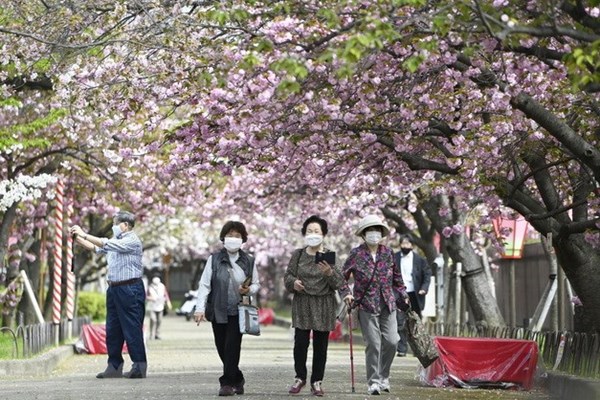 Nhật Bản mở cửa trở lại cho khách du lịch sau hai năm rưỡi - Anh 1