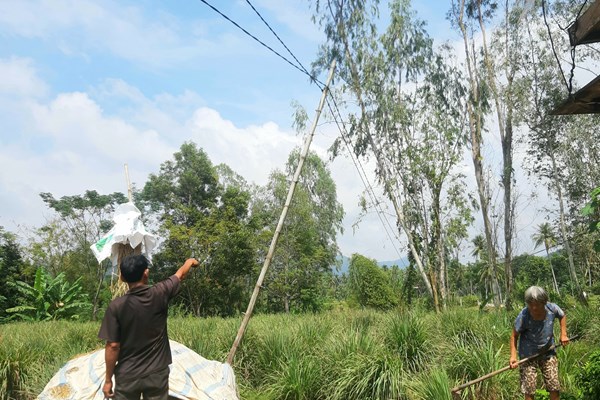 Bình Định: Xã đạt chuẩn nông thôn mới, dân vẫn phải dùng trụ điện tạm bợ - Anh 2