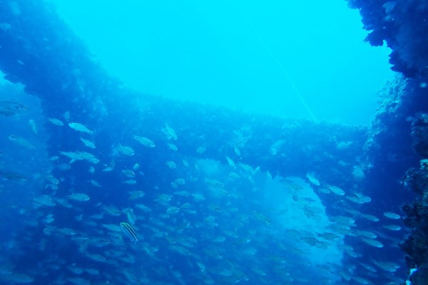 Làm rạn nhân tạo, phát triển nguồn lợi thủy hải sản ven bờ tại Khu bảo tồn biển Cù Lao Chàm - Anh 1