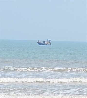 Tàu giã cào hoạt động gần bờ trái phép, ngư dân mất kế sinh nhai - Anh 1