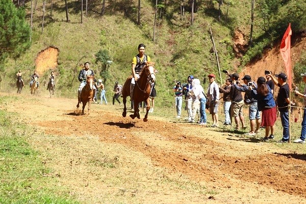 Lâm Đồng sẵn sàng cho Giải đua ngựa hưởng ứng Festival Hoa Đà Lạt lần thứ IX - Anh 1