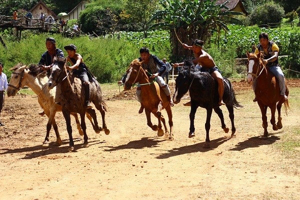 Lâm Đồng sẵn sàng cho Giải đua ngựa hưởng ứng Festival Hoa Đà Lạt lần thứ IX - Anh 2