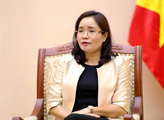 Thứ trưởng Bộ VHTTDL Trịnh Thị Thủy: Chuẩn bị nguồn lực để triển khai, phổ biến hiệu quả các quy định của Luật Phòng, chống bạo lực gia đình (sửa đổi) - Anh 1