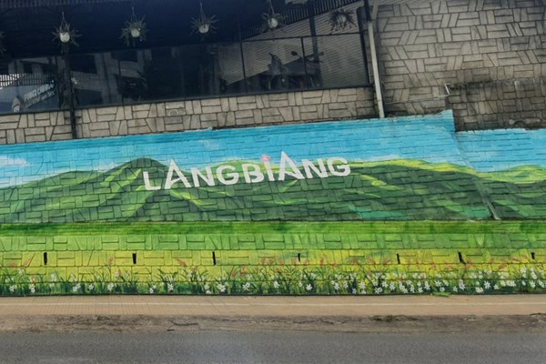 Lâm Đồng: Độc đáo bích họa trên các bờ taluy đường phố Đà Lạt, thu hút du khách - Anh 5