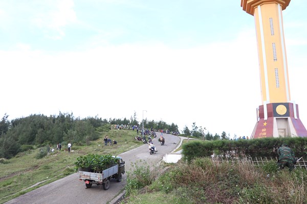 Trồng gần 1.000 cây xanh trên huyện đảo Lý Sơn - Anh 2