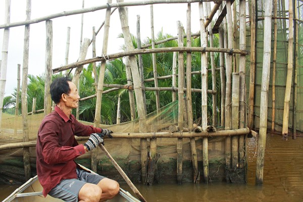Mưu sinh với đặt nò bẫy cá trên sông Trà Bồng - Anh 2
