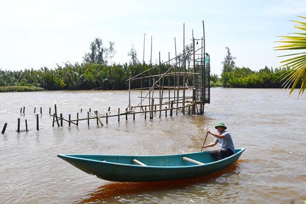 Mưu sinh với đặt nò bẫy cá trên sông Trà Bồng - Anh 3