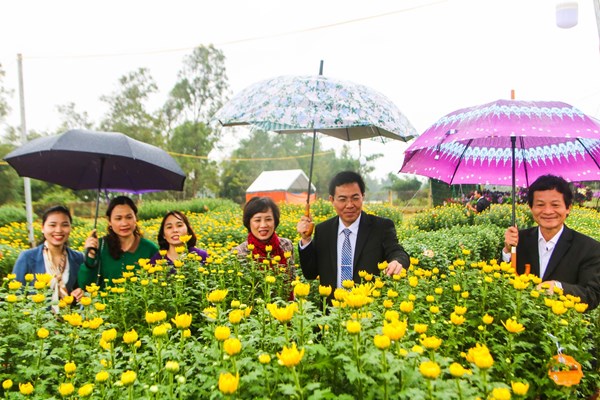 Công nhận nhãn hiệu “Hoa Nghĩa Hiệp” ở làng hoa cúc Tết lớn nhất miền Trung - Anh 2