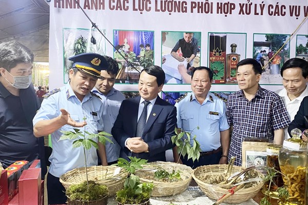 Kon Tum: Thủ phủ Sâm Ngọc Linh tổ chức phiên chợ sâm lần thứ 2 - Anh 4