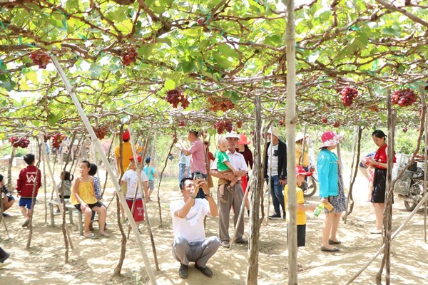 Ninh Thuận đón 35.000 lượt khách du lịch dịp Tết - Anh 1