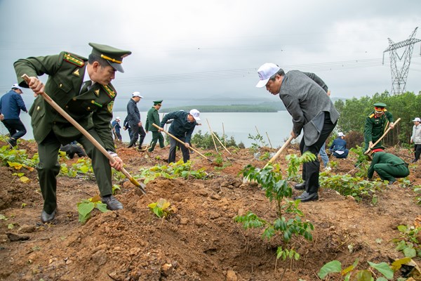 Quảng Bình phát động Tết trồng cây đầu xuân tại Chiến khu Thuận Đức - Anh 1