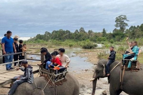 Đắk Lắk vẫn còn tình trạng du lịch “cưỡi voi” dịp Tết - Anh 1