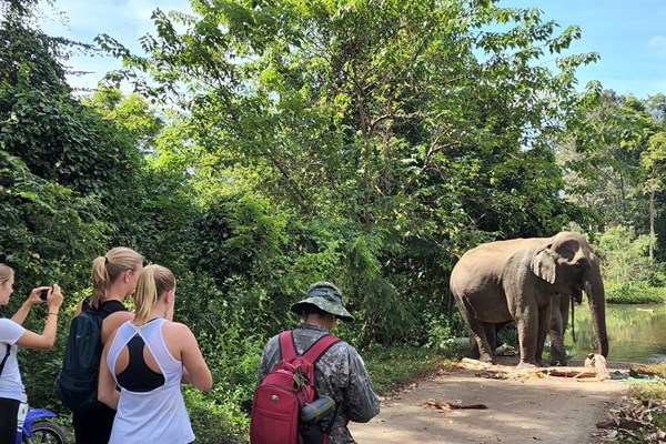 Đắk Lắk vẫn còn tình trạng du lịch “cưỡi voi” dịp Tết - Anh 2
