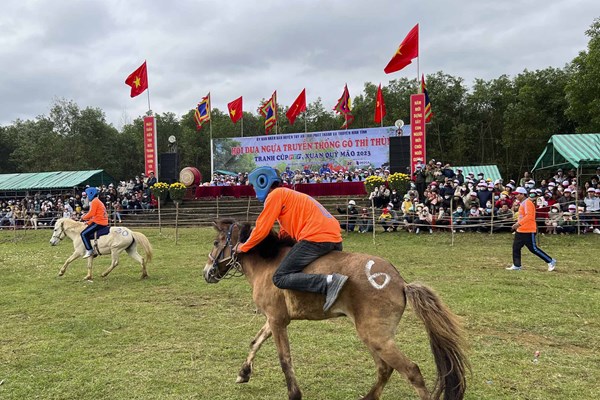 Hấp dẫn Lễ hội đua ngựa Gò Thì Thùng - Anh 3